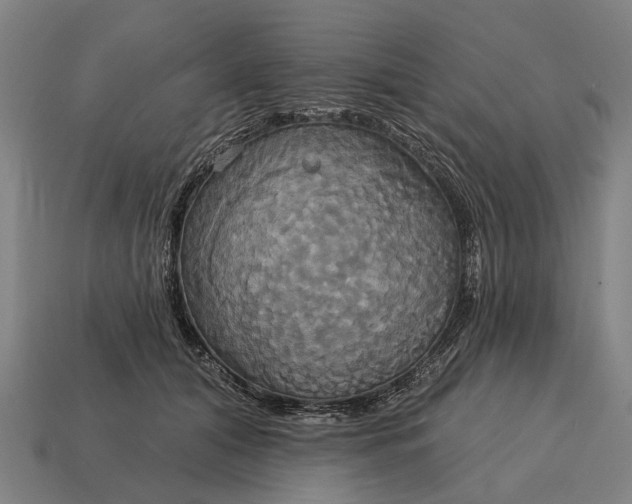 X0000115090608200911101525