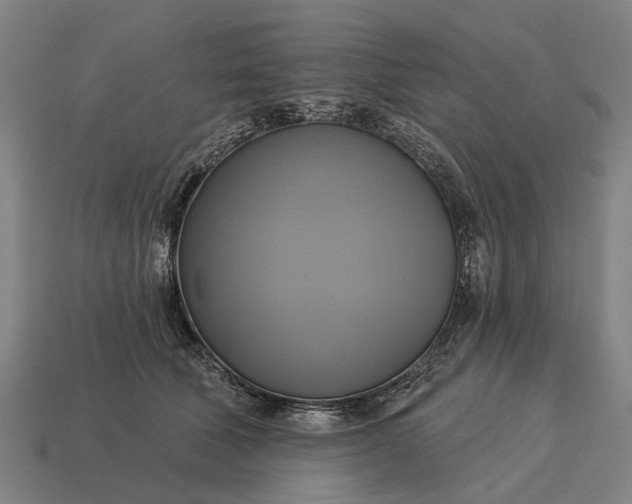 X0000115090610200911101525