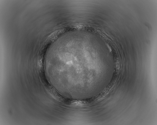X0000115090611200911101525