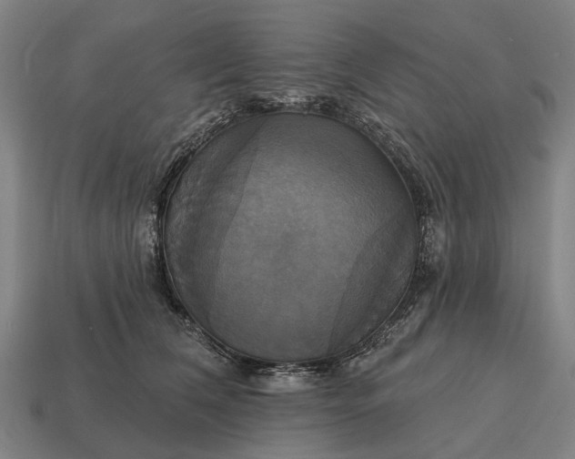 X0000115090612200911101525