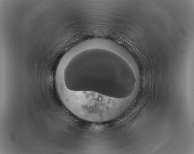 X0000115090613200911101525