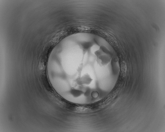 X0000115090614200911101525