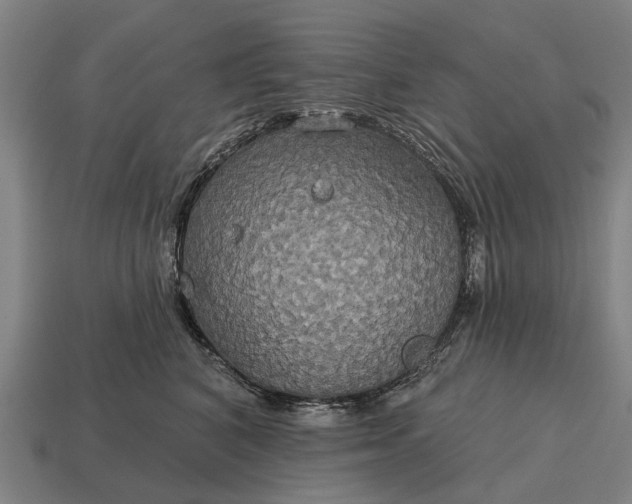 X0000115090616200911101525