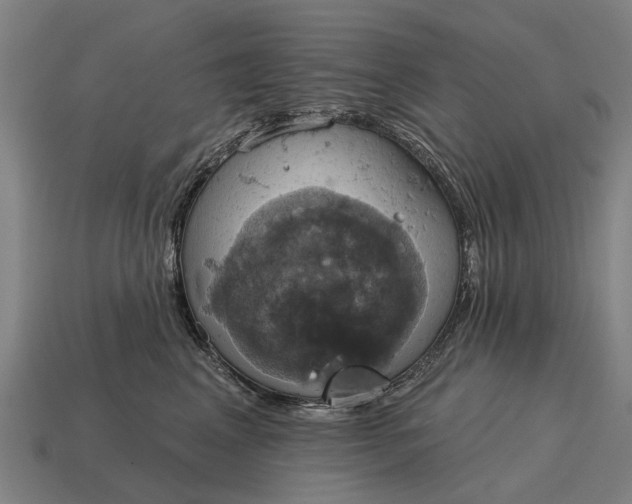 X0000115090617200911101525