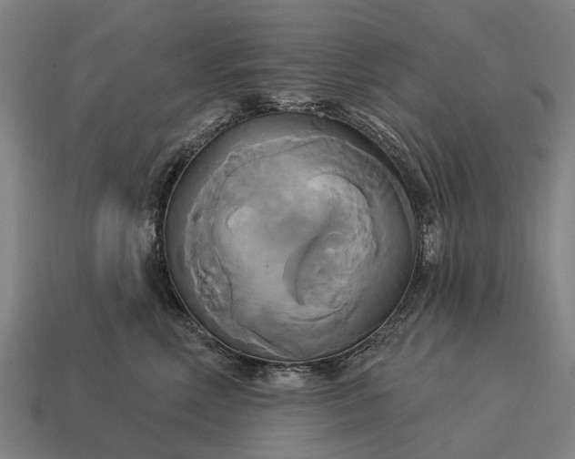 X0000115090618200911101525