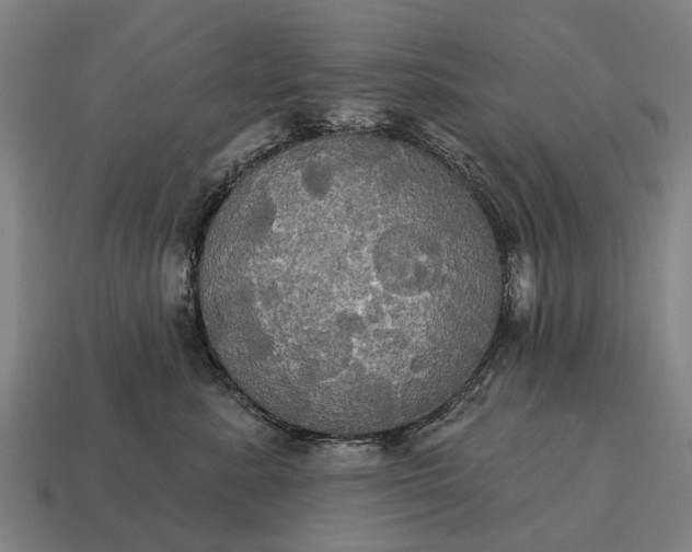 X0000115090619200911101525