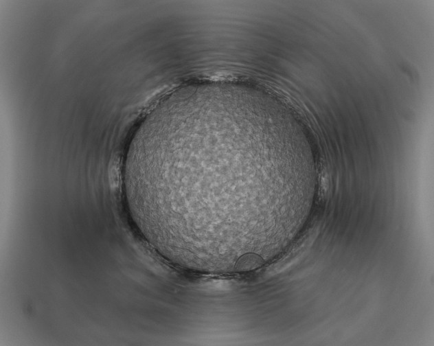 X0000115090620200911101525