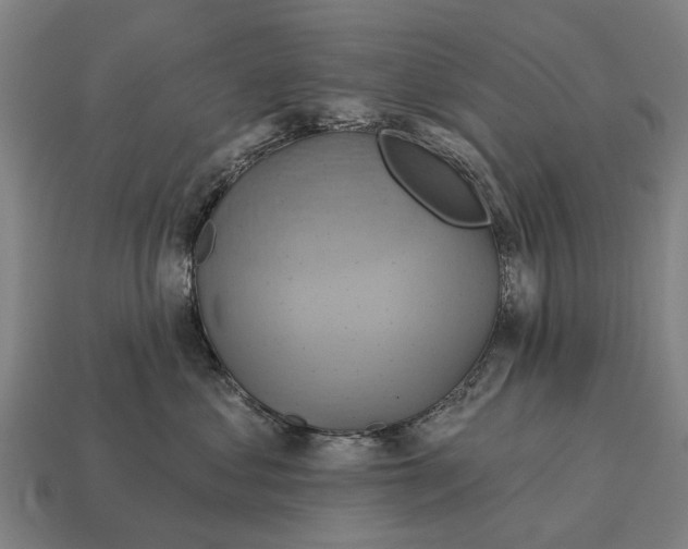 X0000115090621200911101525