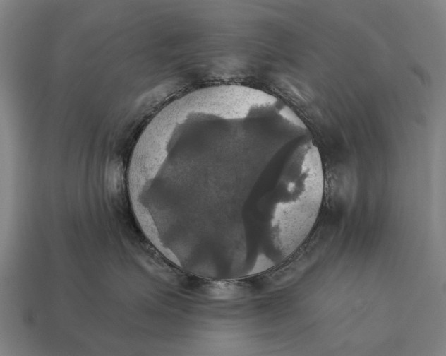 X0000115090623200911101525