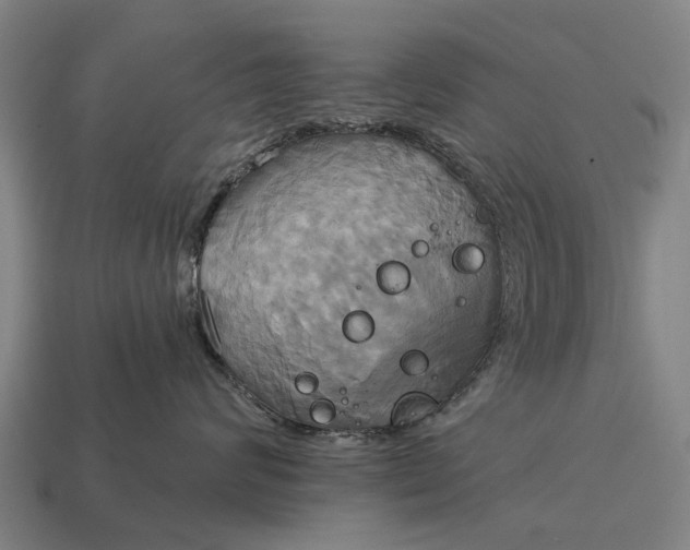 X0000115090624200911101525