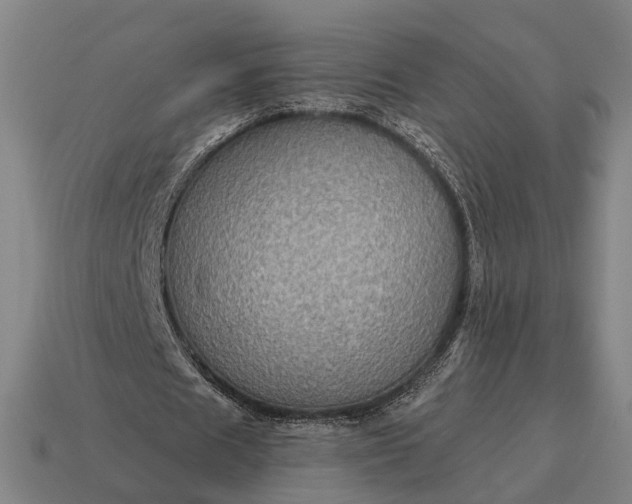 X0000115090625200911101524