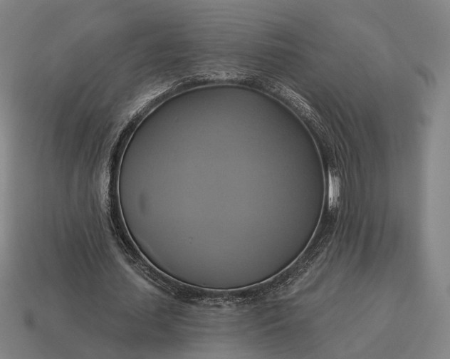 X0000115090627200911101524