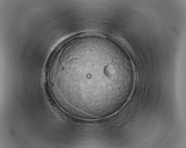X0000115090628200911101524