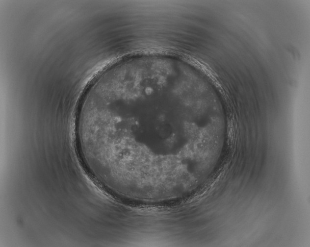 X0000115090629200911101524