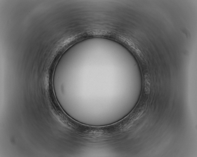 X0000115090631200911101524