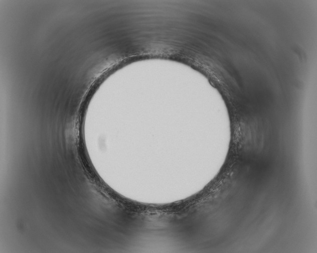 X0000115090632200911101524