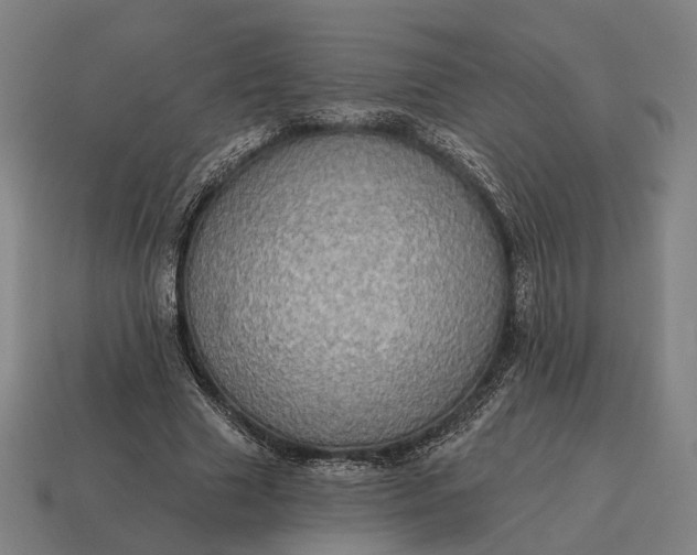 X0000115090633200911101524