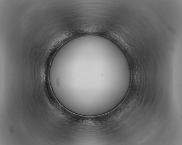 X0000115090635200911101524