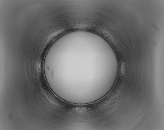 X0000115090636200911101524