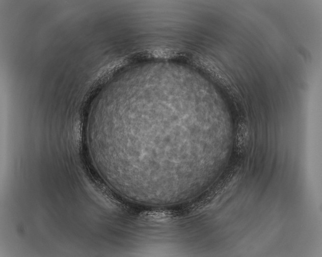 X0000115090639200911101524
