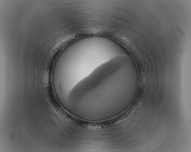 X0000115090640200911101525