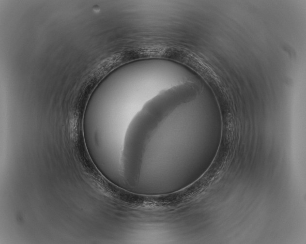 X0000115090641200911101525