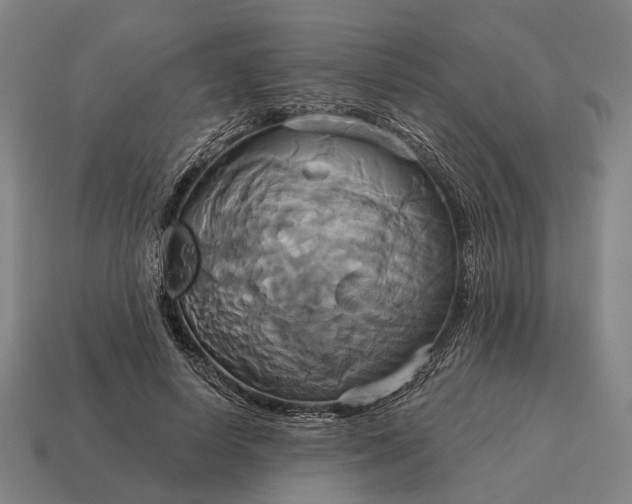 X0000115090642200911101525