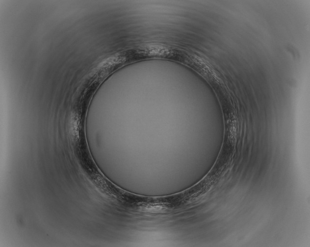 X0000115090643200911101525