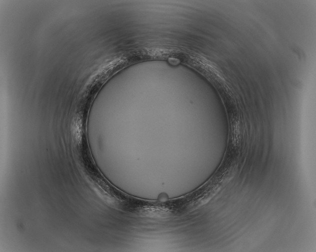 X0000115090644200911101525