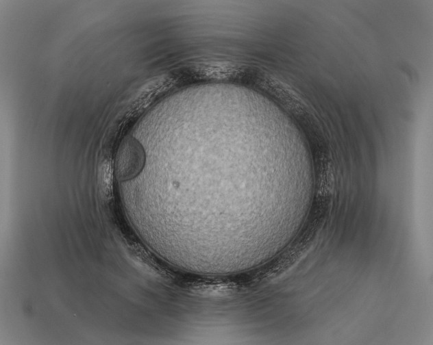 X0000115090646200911101525