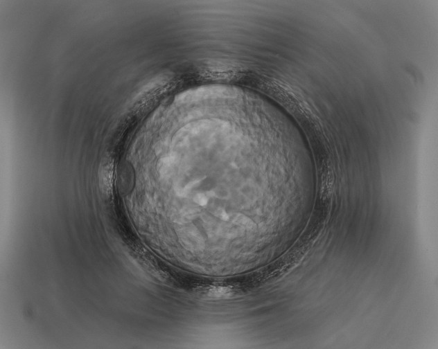 X0000115090647200911101525