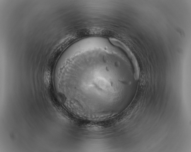 X0000115090648200911101525