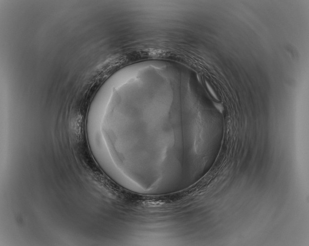 X0000115090650200911101525