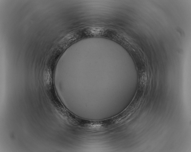X0000115090651200911101525