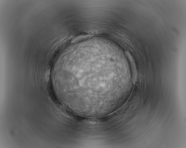 X0000115090652200911101525