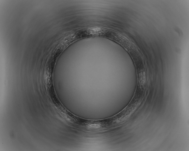 X0000115090653200911101525