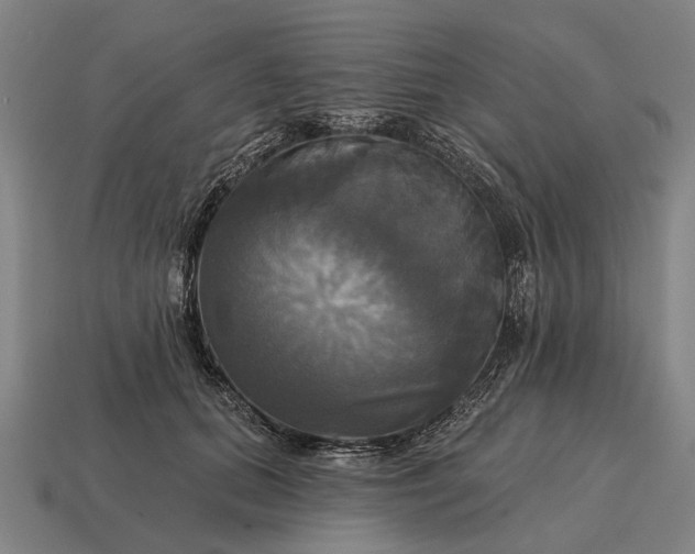 X0000115090655200911101525