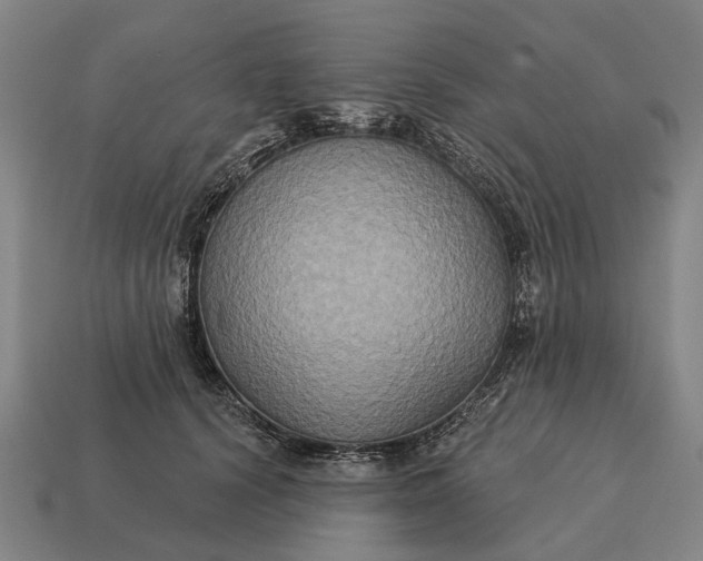 X0000115090656200911101525