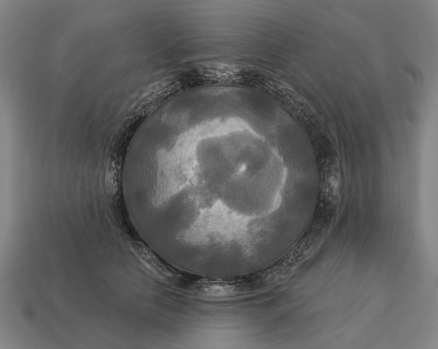 X0000115090658200911101525