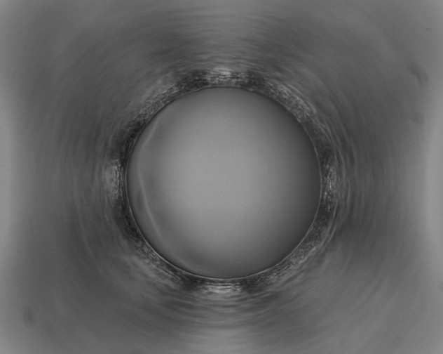 X0000115090659200911101525