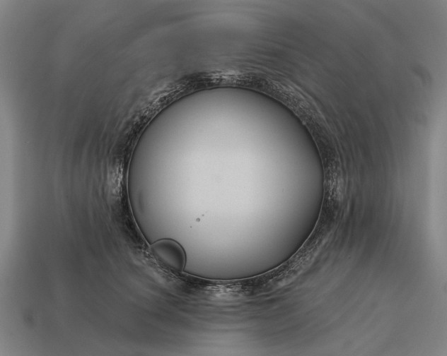 X0000115090660200911101525
