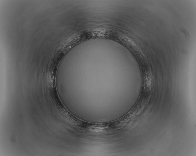X0000115090661200911101525