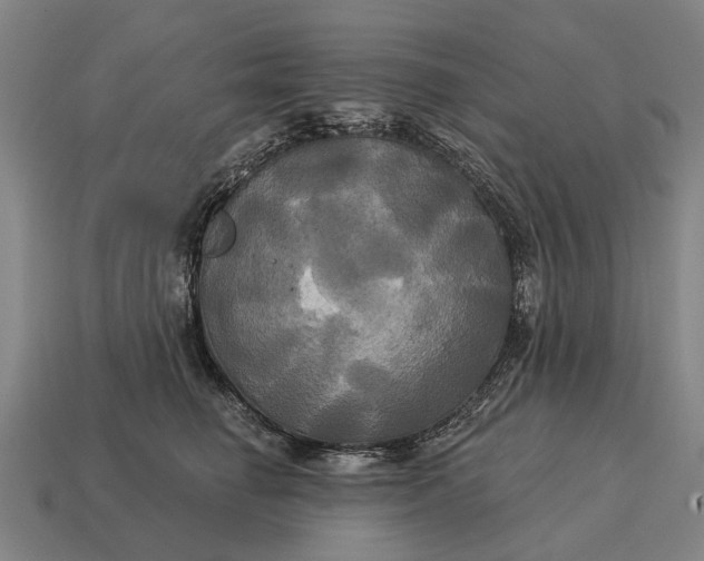X0000115090662200911101525