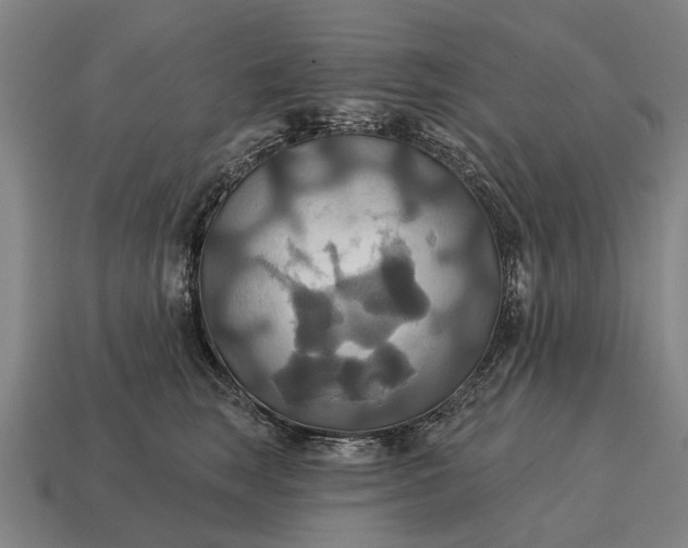 X0000115090663200911101525