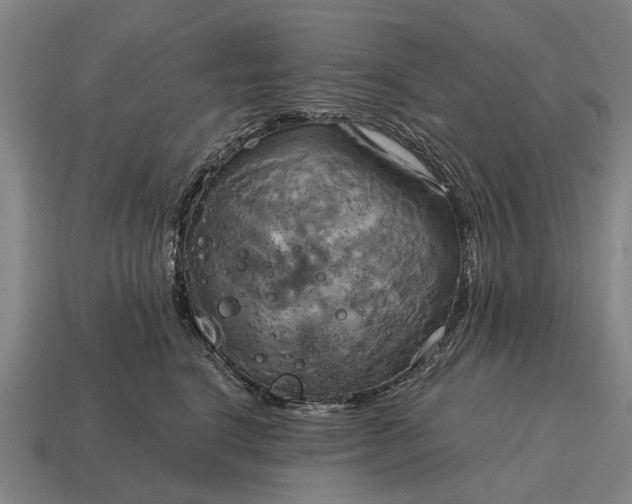 X0000115090664200911101525