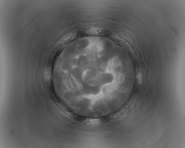 X0000115090665200911101525