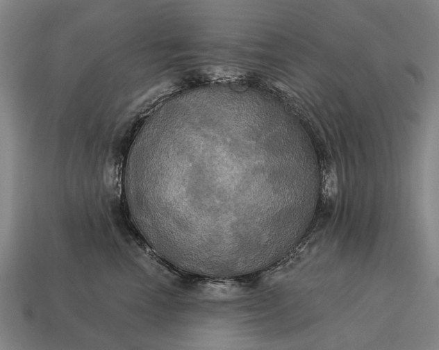 X0000115090666200911101525