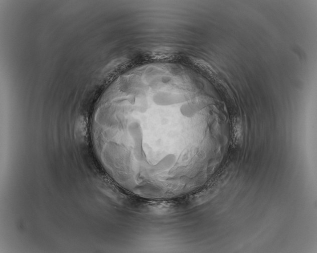 X0000115090667200911101525