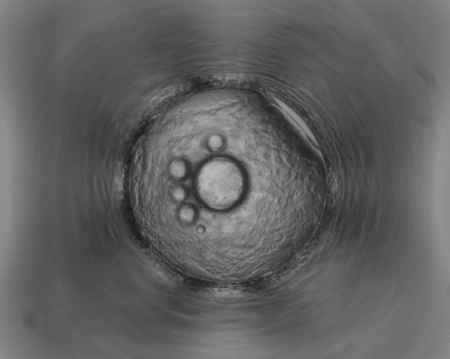 X0000115090668200911101525