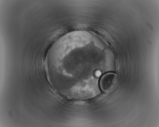 X0000115090669200911101525